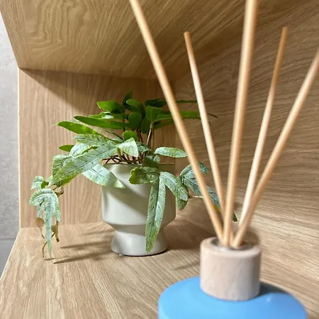 Premium Zamkowa B12 * Tczew