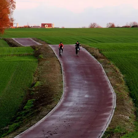 Premium Zamkowa B12 *