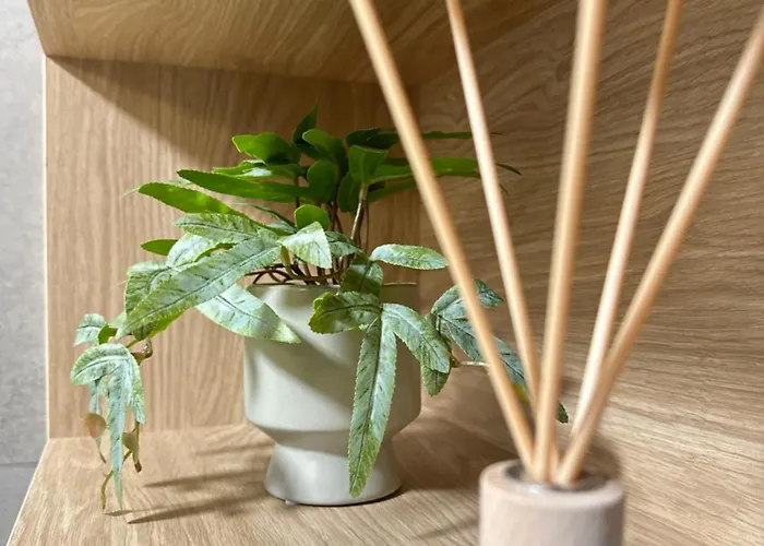 Premium Zamkowa B12 * Tczew