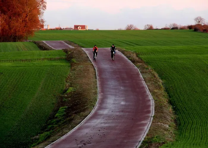 Premium Zamkowa B12 *